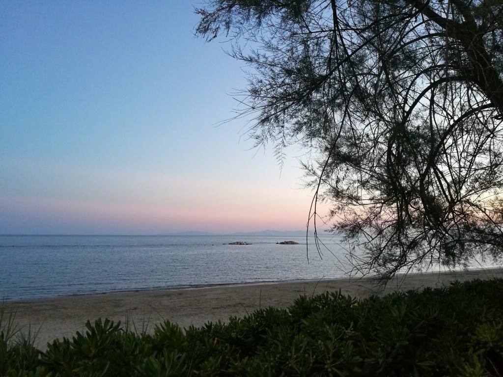 Mistä kaikki sai&nbsp;alkunsa?